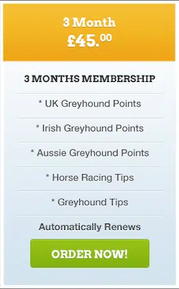 3 months subscription